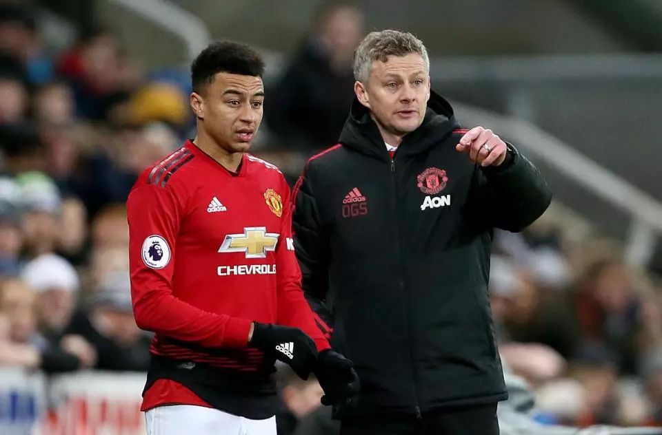 面日趋成熟 面日趋成熟