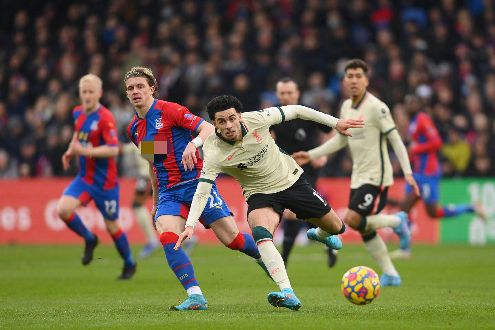 你终将在某 你终将在某