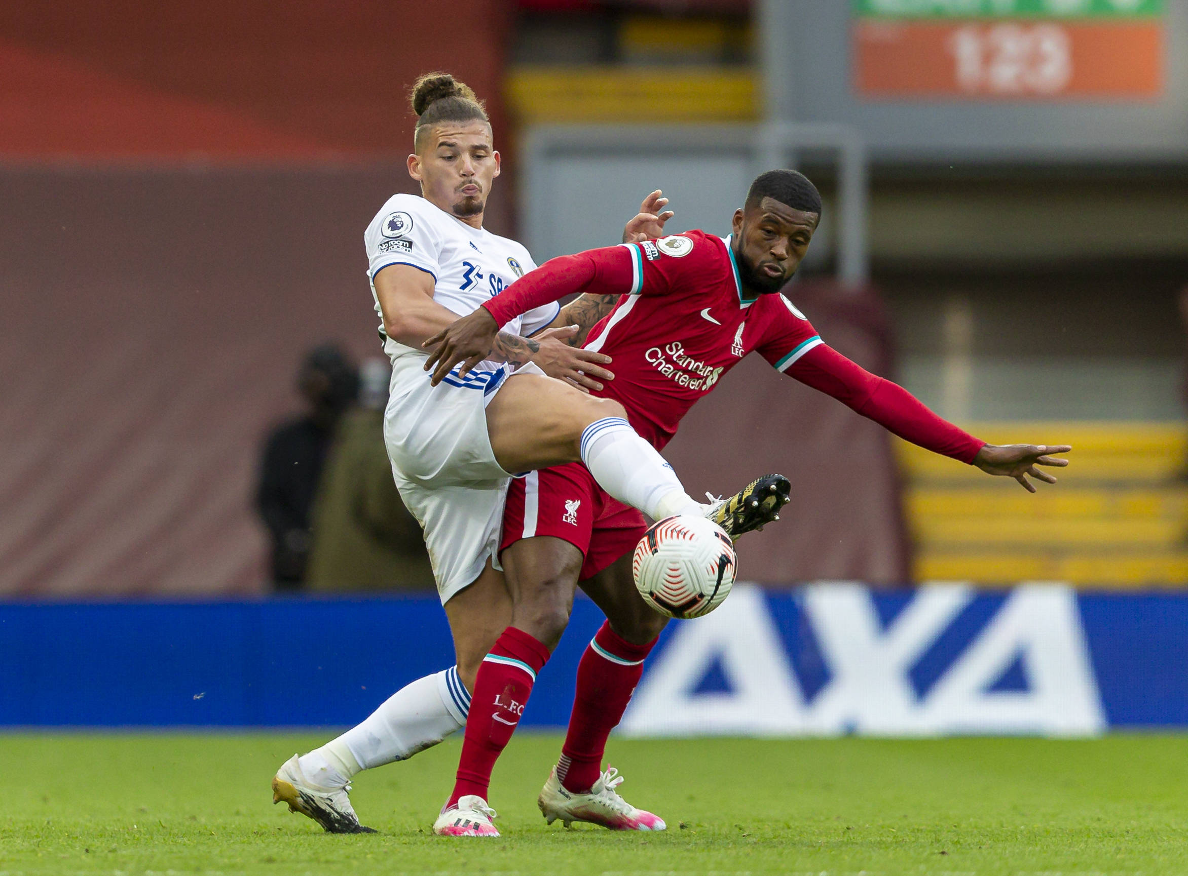 季已引进了 季已引进了